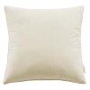 Enhance 20" Performance Velvet Throw Pillow