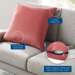 Accentuate 24" Performance Velvet Throw Pillow