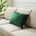 Enhance 24" Lumbar Performance Velvet Throw Pillow