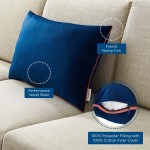 Accentuate 24" Lumbar Performance Velvet Throw Pillow