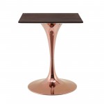 Lippa 24" Square Wood Dining Table