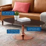 Lippa 48" Oval Wood Coffee Table