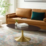 Lippa 48" Oval Wood Coffee Table