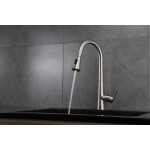 Furio Brass Kitchen Faucet w/ Pull Out Sprayer - Chrome
