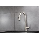 Furio Brass Kitchen Faucet w/ Pull Out Sprayer - Brushed Nickel