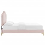 Elise Queen Performance Velvet Platform Bed