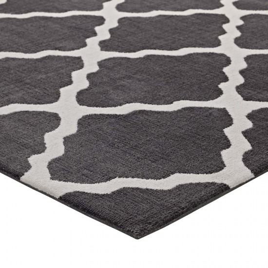 Marja Moroccan Trellis 8x10 Area Rug