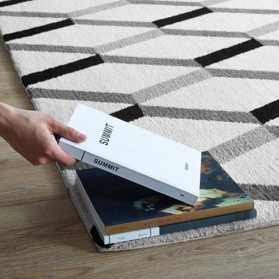 Sigrun Geometric Chevron 5x8 Area Rug