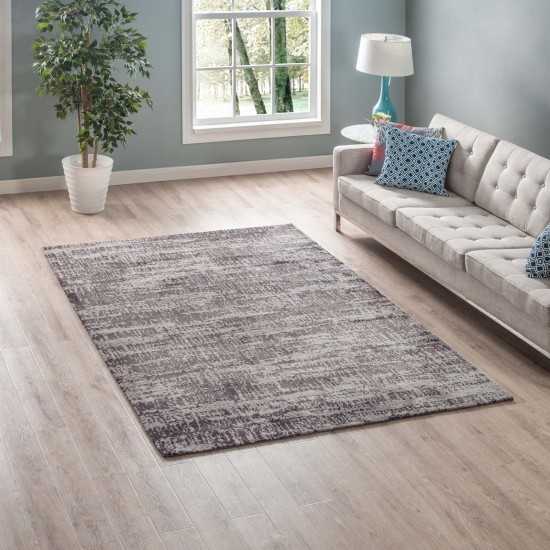 Darja Distressed Rustic Modern 5x8 Area Rug