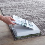 Darja Distressed Rustic Modern 8x10 Area Rug