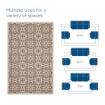 Ariana Vintage Floral Trellis 9x12 Indoor and Outdoor Area Rug