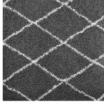 Toryn Diamond Lattice 5x8 Shag Area Rug