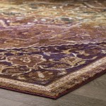 Success Kaede Transitional Distressed Vintage Floral Persian Medallion 5x8 Area Rug