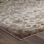 Success Kaede Distressed Vintage Floral Moroccan Trellis 8x10 Area Rug