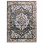 Success Anisah Distressed Floral Persian Medallion 5x8 Area Rug