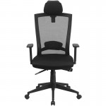 High Back Black Mesh Executive Swivel Ergonomic Office Chair with Back Angle Adjustment and Adjustable Arms