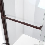 Duet Plus 44-48 in. W x 72 in. H Semi-Frameless Bypass Sliding Shower Door in Oil Rubbed Bronze