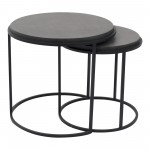 ROOST NESTING TABLES SET OF 2