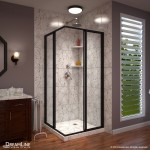 Cornerview 40 1/2 in. D x 40 1/2 in. W x 72 in. H Framed Sliding Shower Enclosure in Satin Black