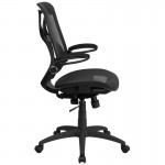 High Back Transparent Black Mesh Executive Ergonomic Office Chair with Adjustable Lumbar, 2-Paddle Control & Flip-Up Arms