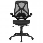 High Back Transparent Black Mesh Executive Ergonomic Office Chair with Adjustable Lumbar, 2-Paddle Control & Flip-Up Arms