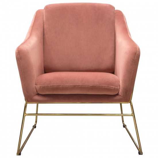 Bryce Accent Chair in Rose Velvet wrapped in Gold Metal Frame by Diamond Sofa