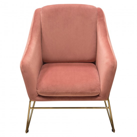 Bryce Accent Chair in Rose Velvet wrapped in Gold Metal Frame by Diamond Sofa