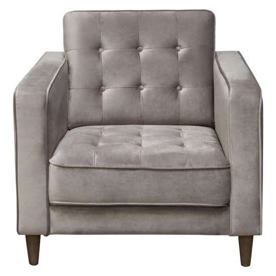 Juniper Tufted Chair in Champagne Grey Velvet by Diamond Sofa