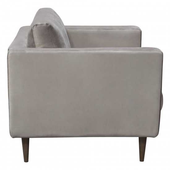 Sage Chair in Champagne Grey Velvet by Diamond Sofa