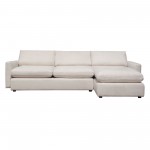 Arcadia 2PC Reversible Chaise Sectional w/ Feather Down Seating in Cream Fabric by Diamond Sofa