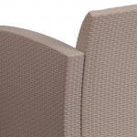 Light Gray Faux Rattan Chair with All-Weather Light Gray Cushion