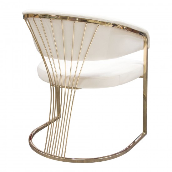 Solstice Dining Chair in Cream Velvet w/ Polished Gold Metal Frame by Diamond Sofa