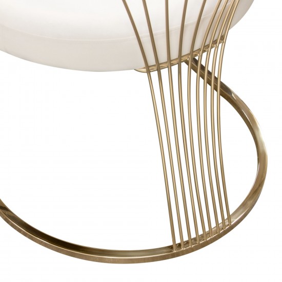 Solstice Dining Chair in Cream Velvet w/ Polished Gold Metal Frame by Diamond Sofa