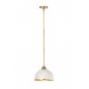 Z-Lite 1 Light Pendant