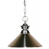 Z-Lite 1 Light Pendant