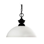 Z-Lite 1 Light Pendant