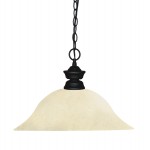 Z-Lite 1 Light Pendant