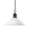 Z-Lite 1 Light Pendant
