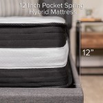 Capri Comfortable Sleep 12 Inch CertiPUR-US Certified Foam and Pocket Spring Mattress, Queen Mattress in a Box