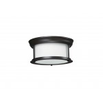 Z-Lite 2 Light Ceiling