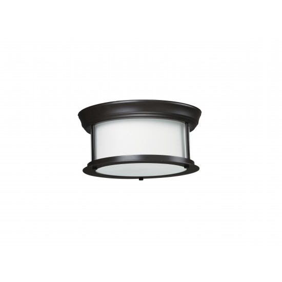 Z-Lite 2 Light Ceiling