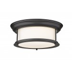 Z-Lite 2 Light Ceiling