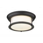 Z-Lite 2 Light Ceiling