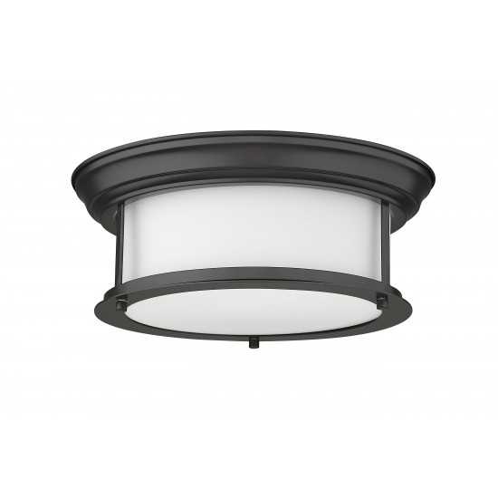 Z-Lite 2 Light Ceiling