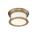 Z-Lite 2 Light Flush Mount