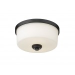 Z-Lite 2 Light Flush Mount