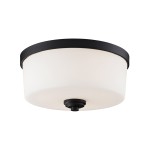 Z-Lite 3 Light Flush Mount