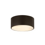 Z-Lite 2 Light Flush Mount