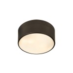 Z-Lite 2 Light Flush Mount