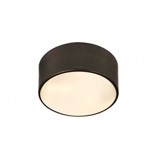 Z-Lite 2 Light Flush Mount